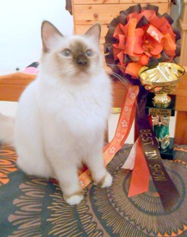 chat-1-1.jpg