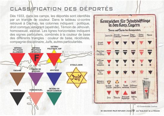 classification.jpg