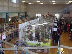 Marché de Noël à Dormans