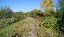 dsc01759-1.jpg