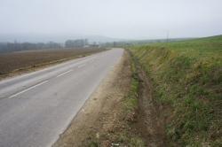Dsc02938 001