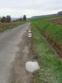 dsc05845.jpg