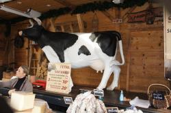 dsc06638-1.jpg