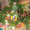 dsc09547.jpg