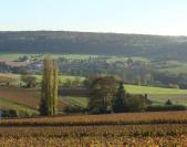 dsc09602.jpg