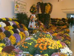 fleurs-1.jpg