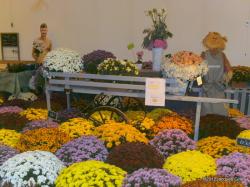 fleurs-2.jpg