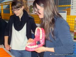 j-aime-mes-dents-001.jpg