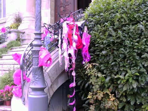 l-arbre-a-soutien-gorge-1.jpg
