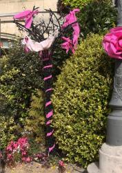 l-arbre-a-soutien-gorge.jpg