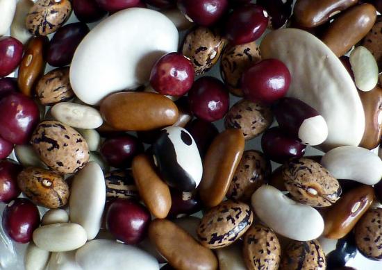 lzgumes2.jpg