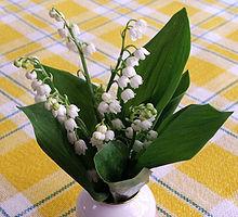 muguet.jpg