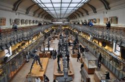 museum-d-histoire-naturelle.jpg