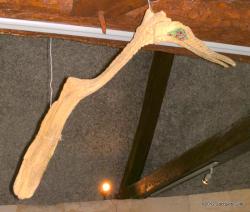 oiseau-ou-dinosaure-001-1.jpg