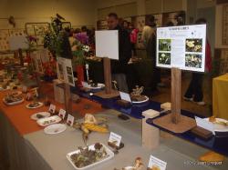 verdilly-expo-de-champignons-4-001.jpg